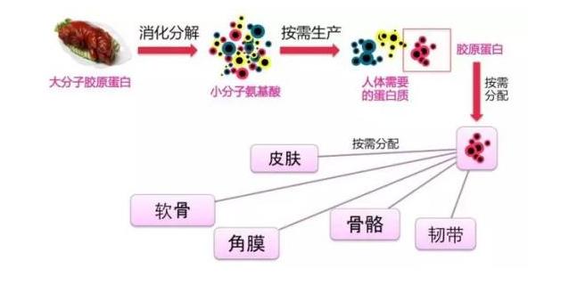 氨基酸是什么原料合成的 41a20b34fdfd4aebaf20a60ea7ec5c37.jpeg