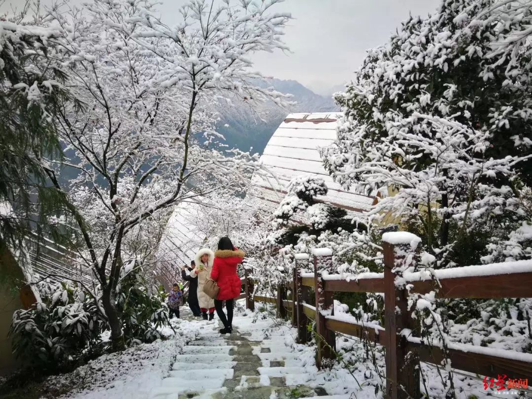 下雪啦四川什邡下今冬第一场雪雪中小木屋美得像童话