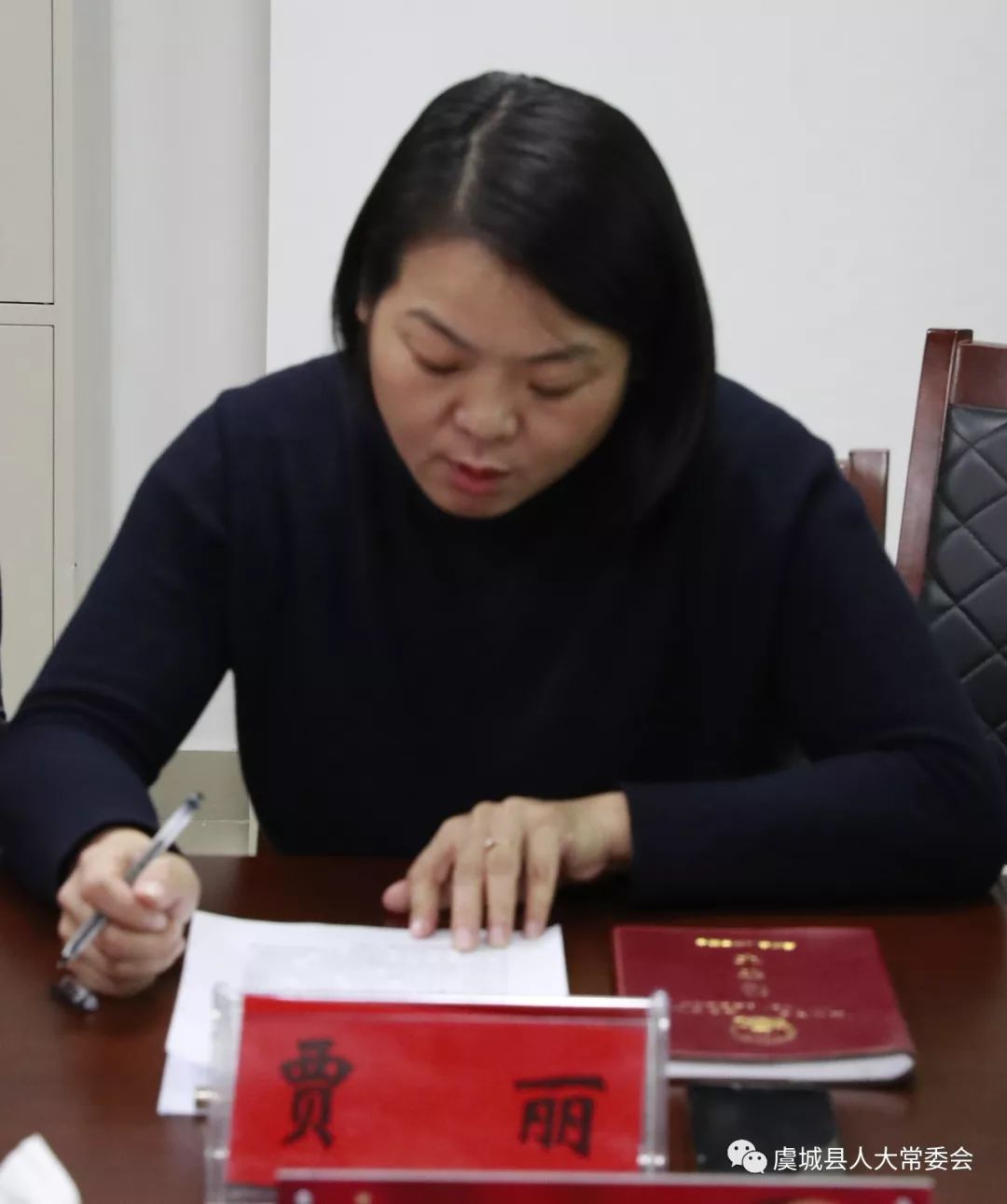县人大常委会机关党组成员,常委会财经委主任贾丽发言
