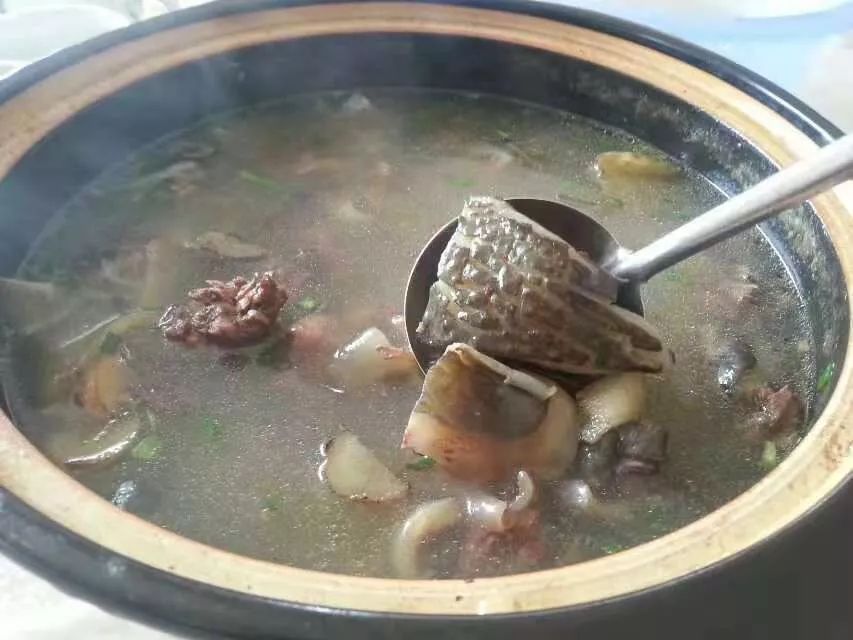 甲鱼汤