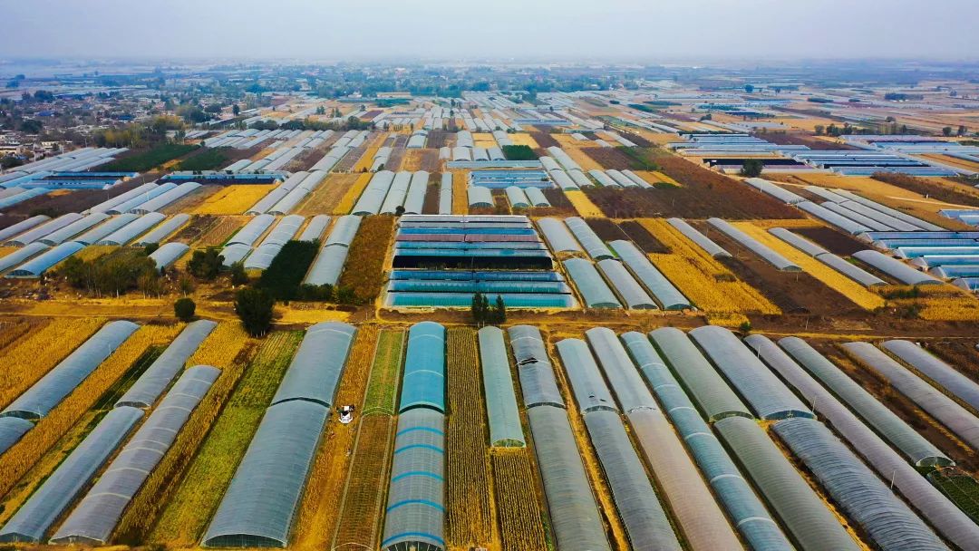饶阳县人口_饶阳县地图(2)
