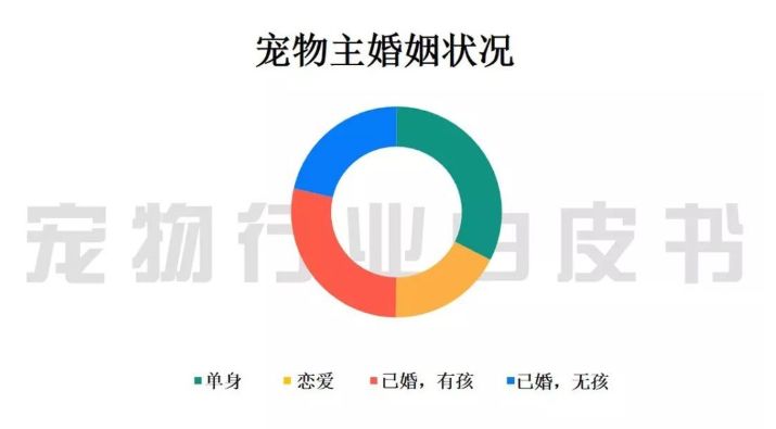 擼貓擼狗爽到飛起，但是千萬別忘了這3個關鍵問題！ 寵物 第7張