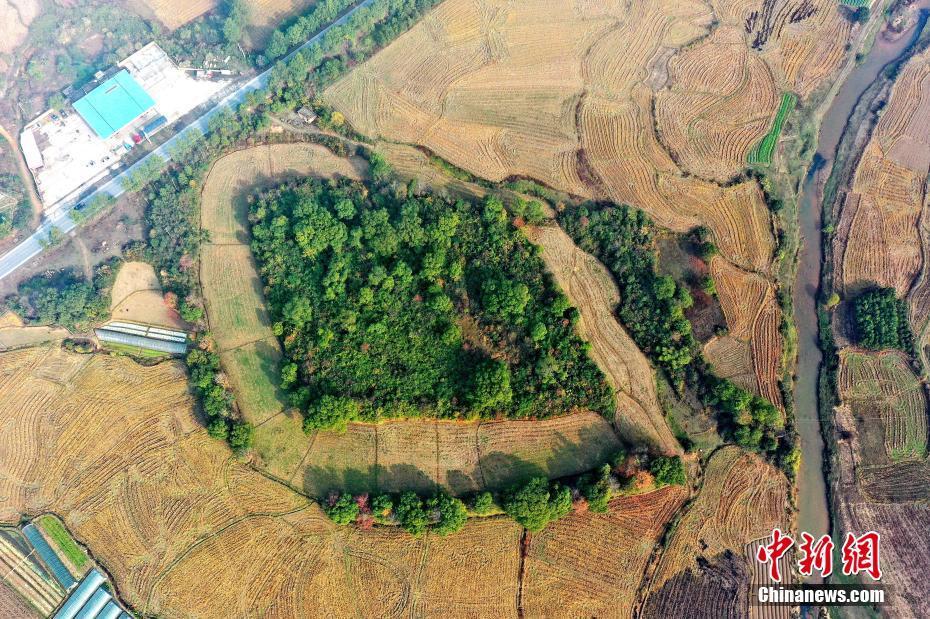 江西吉水发现一处史前遗址 距今约5000年