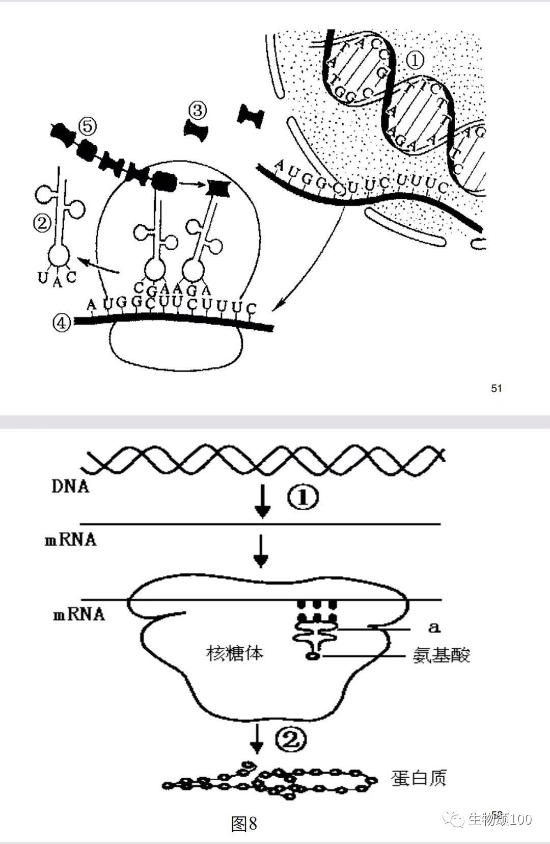 高中生物课本及试卷中常考图片题大集合建议同学们收藏