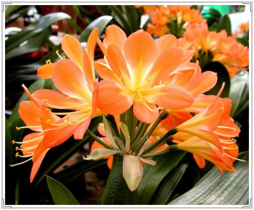 8388203fa51b4fc79d79506a23cb9bd4.jpeg