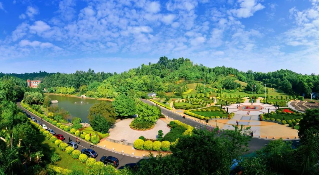 广东省开发区经济经济总量_广东省区域经济板块图(2)