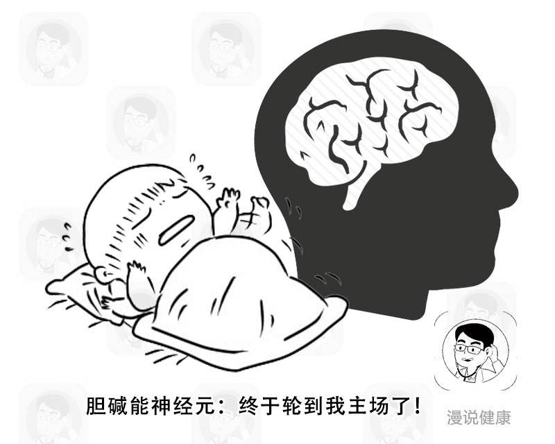 921a0f65d90a4a909e00b864642ac7a0.jpeg