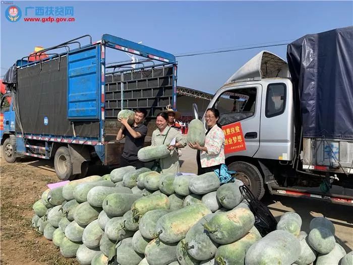 什么情况?网红赖园园、巧妇九妹都被自治区