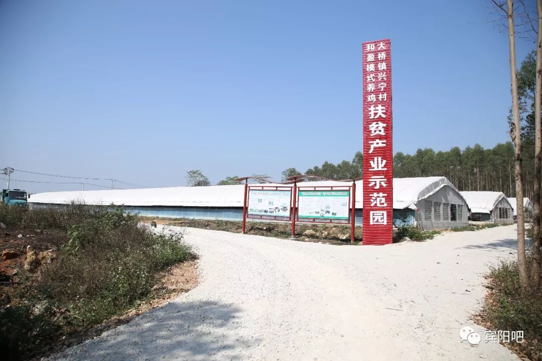 在扶贫路上的宾阳电网人给几万只鸡创造了温暖基地