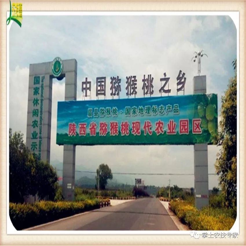 中国尽然有这么多中国猕猴桃之乡