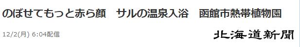 北海道猴子泡溫泉表情愜意，讓日本網友羨慕：人不如猴啊 寵物 第1張