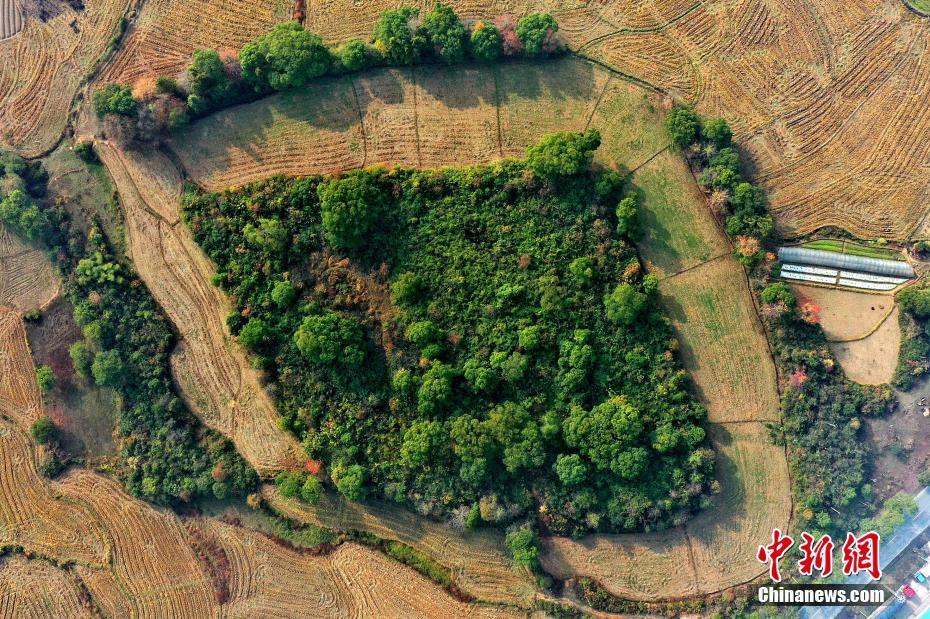 江西吉水发现一处史前遗址 距今约5000年