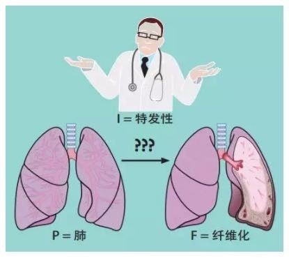 间质性肺炎和肺纤维化,这是同一种疾病吗?