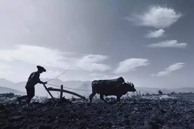 中国农民有多少人口_中国有多少人口