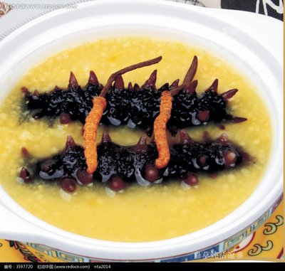 去哪里买海参 b1c1a47b44a94ce19b67958951d38bd8.jpeg