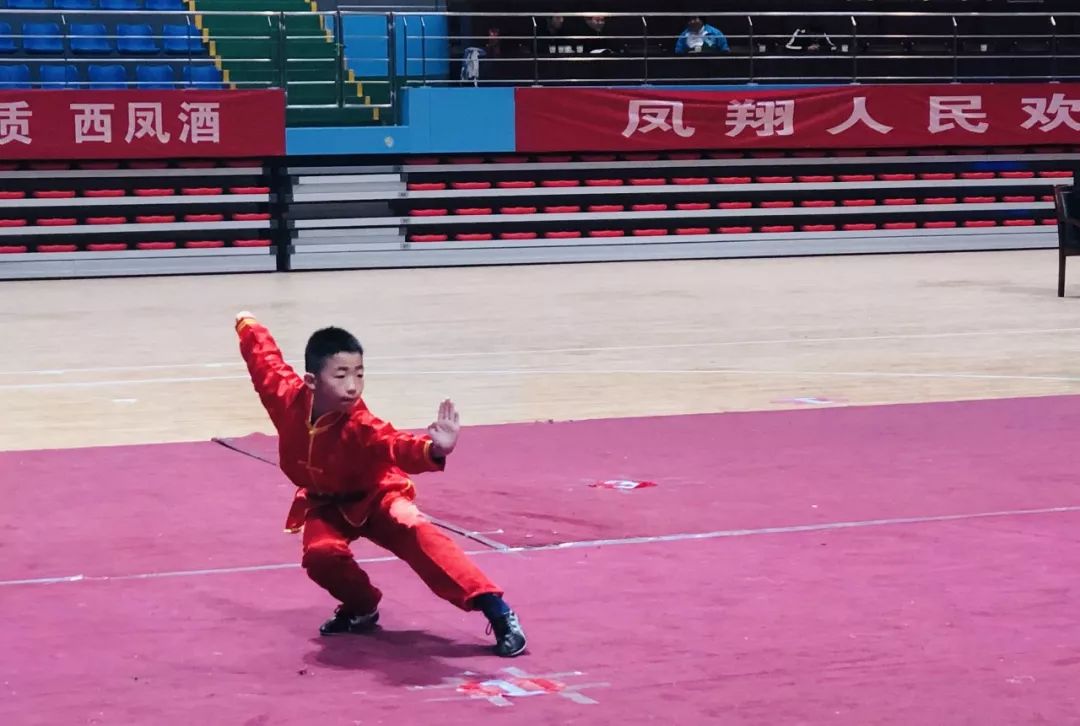 西安经开第一学校武术队队员在2019年陕西省传统武术精英赛中荣获多项