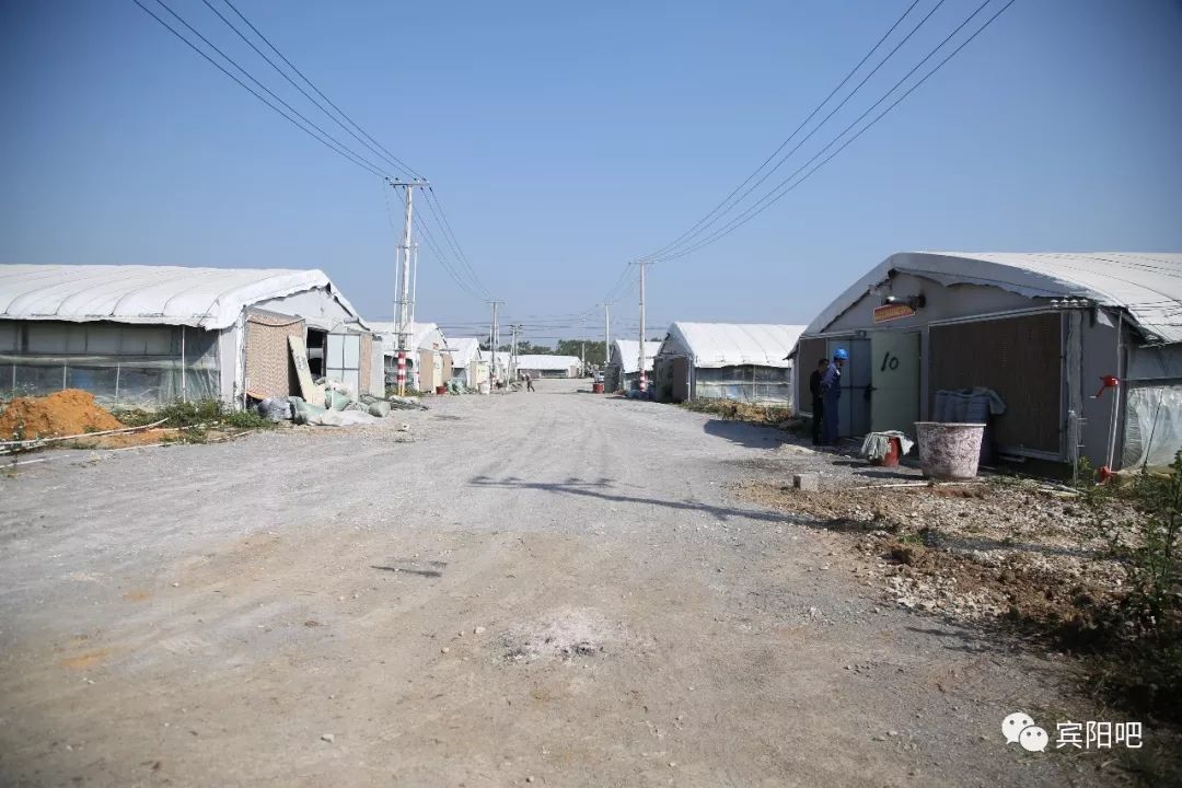 宾阳县多少人口_宾阳县人民医院图片(2)