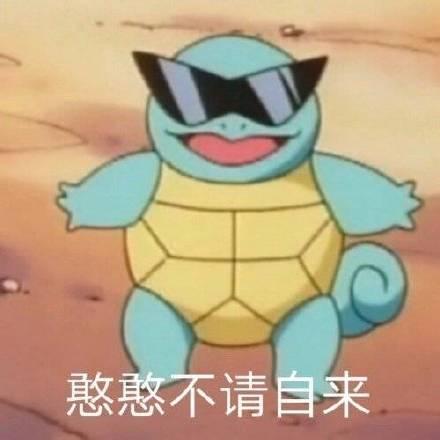 杰尼龟表情包合集|让爷好好看看你这个憨批
