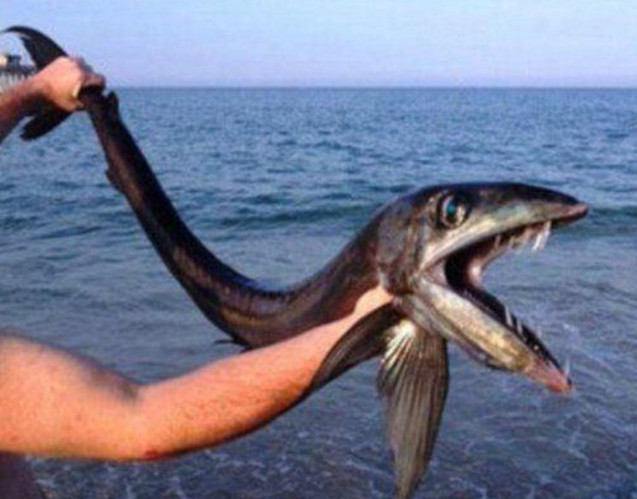 国外海边钓鱼 cd87e62b73104e41a512417e92e13570.jpeg