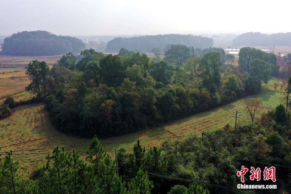 江西吉水发现一处史前遗址 距今约5000年