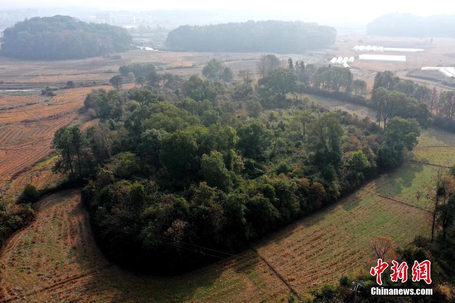 江西吉水发现一处史前遗址 距今约5000年