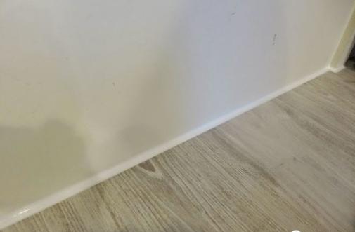 ebcf085a1fe746f1904b9866c5df5881.jpeg