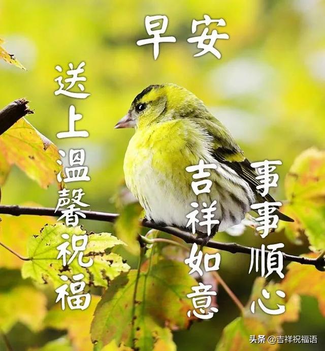 清晨早上好的问候语和唯美图片大全