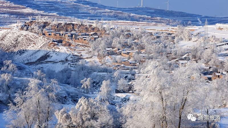 风雪华家岭一场不期而遇的惊喜