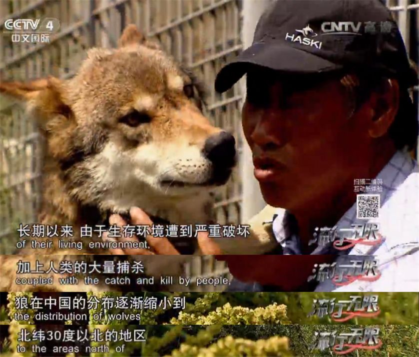 文章配图