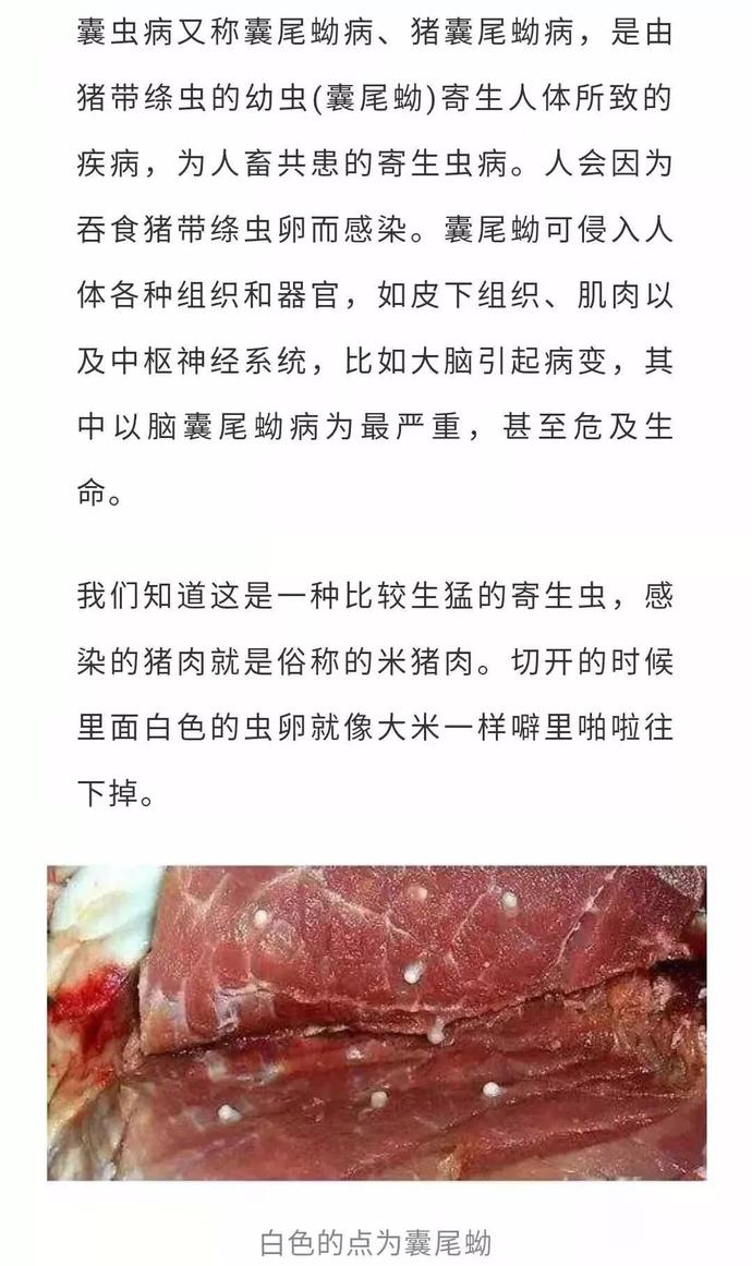脾什么什么切成语_成语故事简笔画(2)