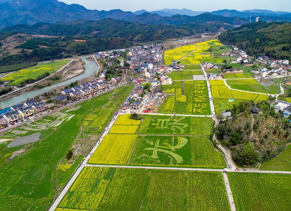 仙桥洋内村人口_仙桥街道东洋村(2)