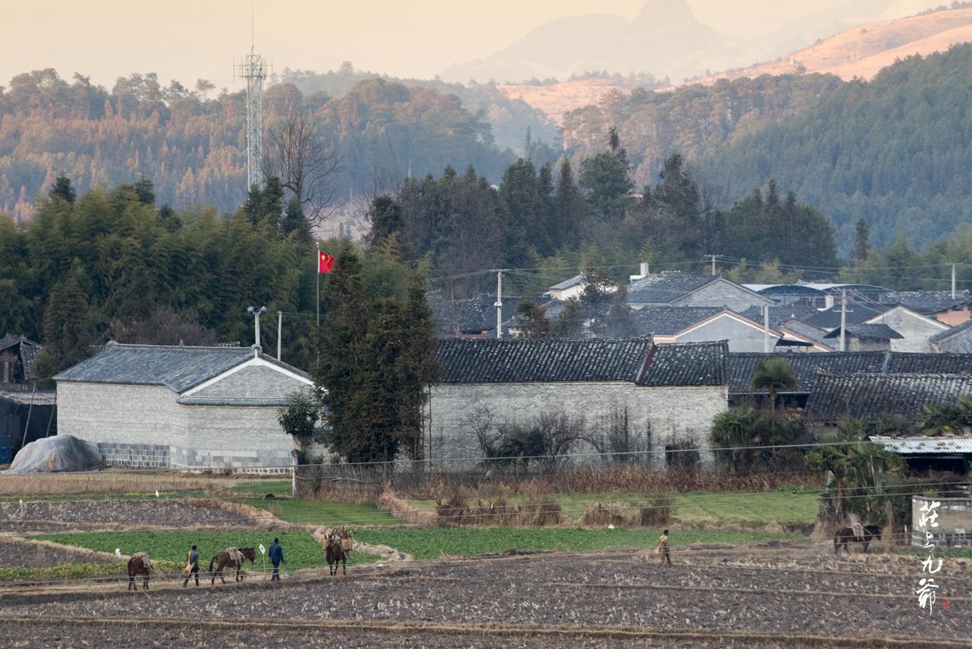 非常奇怪 大山中的农家门上全是无人认识的洋码子