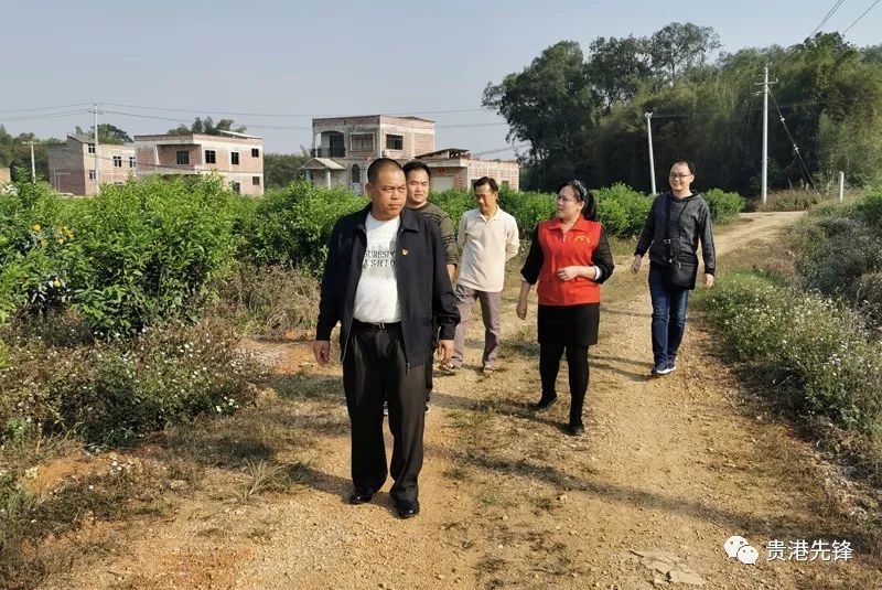 桂平石咀镇GDP_桂平石咀镇图片
