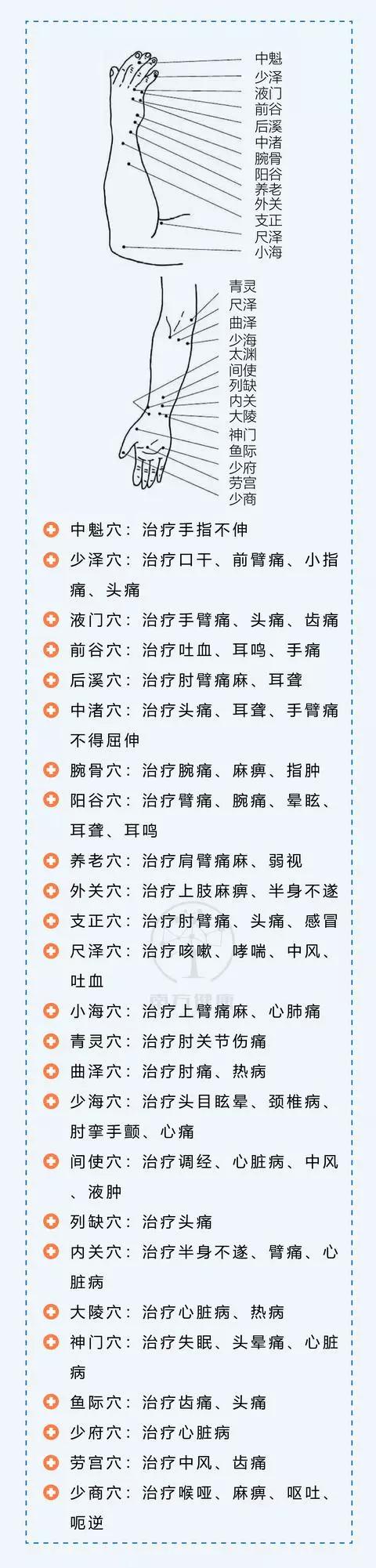 中医,养生,穴位,经络,养生,健康,保健,疼痛人体腿部穴位图及作用功效