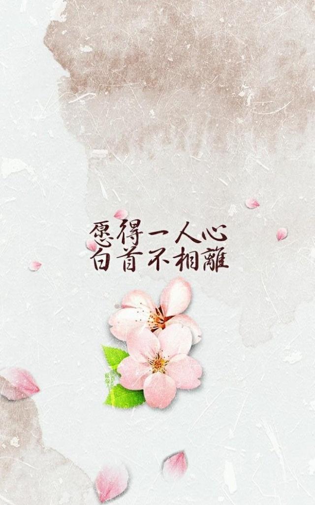 4c8e60f78b314dbcae60319d9dee800d.jpeg