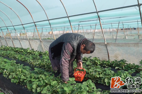 双牌县有多少人口_湖南 人口最少 的县,距今仅有50年历史,却成为了旅游强县(2)