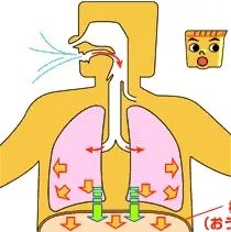 什么运动可以提高肺活量 541ef86084724cdc8fe0b5bbd1bba5a3.jpeg