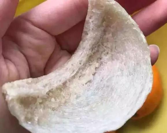 燕窝是什么?燕窝是怎么形成的?