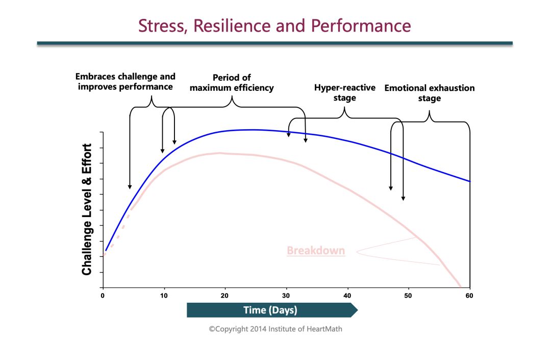 压力和绩效曲线
