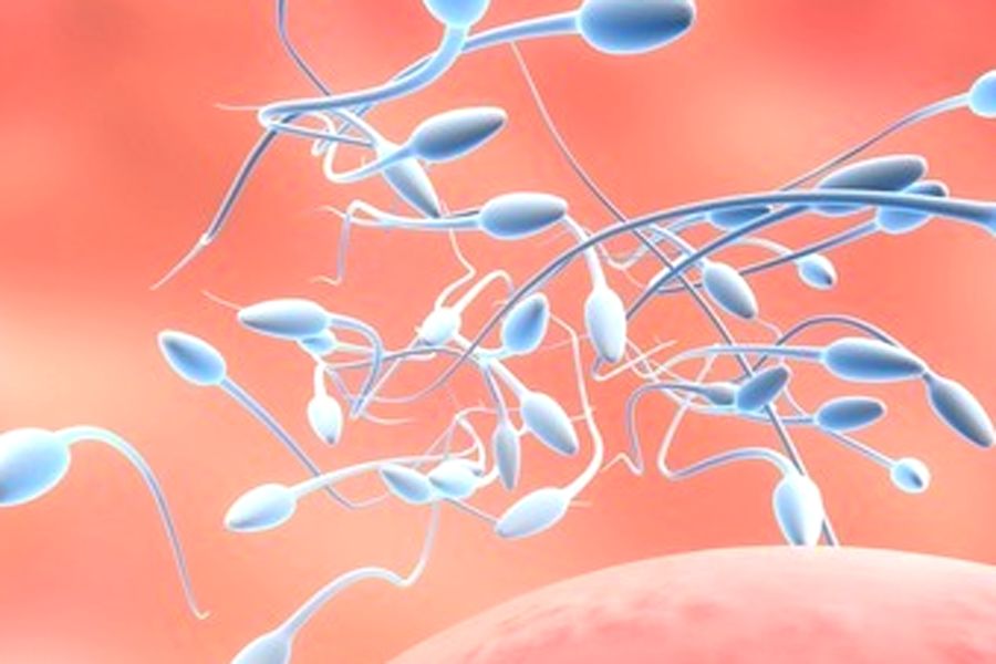 世卫组织提醒:人类精子密度持续下降,别再让坏习惯影响精子质量