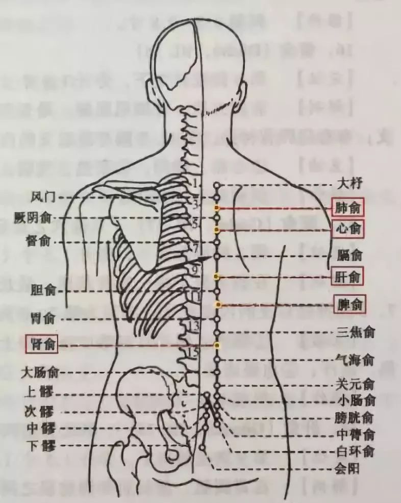 大雪蓄阳补精气