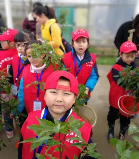 株洲市荷塘区2020gdp_株洲市荷塘区图片(2)