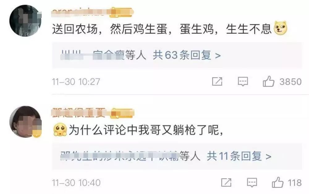 孙俪自曝家中再添“新丁”