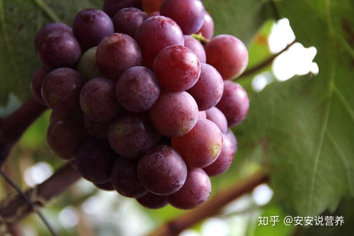 897dacf9f3b64b11ba5b41b6e1a2f3fd.jpeg