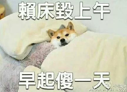 起床失败 等待重起冬日里,起床还真难,恨不得把自己变成熊进入冬眠