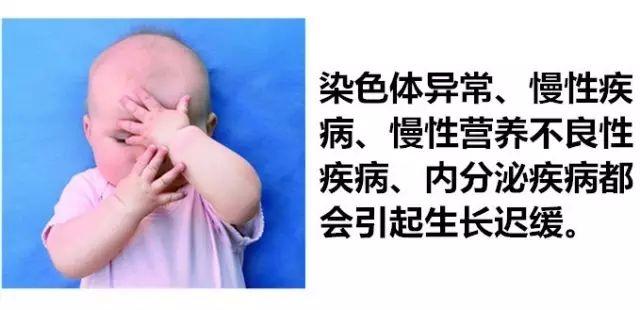 9d36bafe998347cfa858c05e51bbb7b7.jpeg