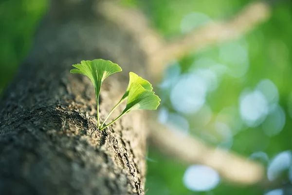 做人，永远不要透支信用！