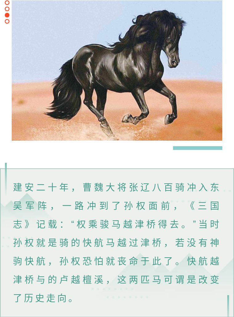 特勒骠作为唐太宗昭陵六骏之一,相传是突厥进贡而来的,此马白喙微黑