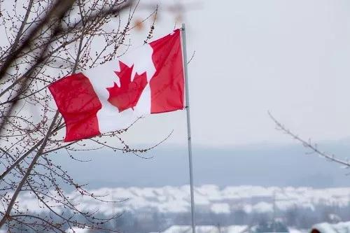 加拿大2020年gdp排名_加拿大央行:预计全球GDP在2020年收缩约4%,在2021~22年平