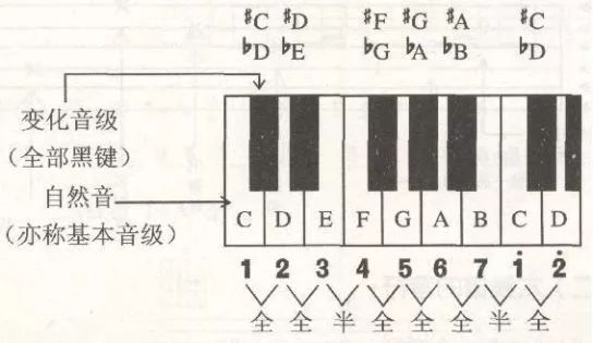 基本音级升高半音或者全音,降低半音或全音而音名不变,称为变化音.